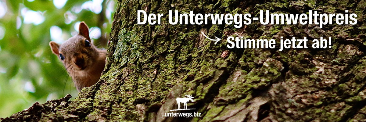 Umweltpreis_Elchblog
