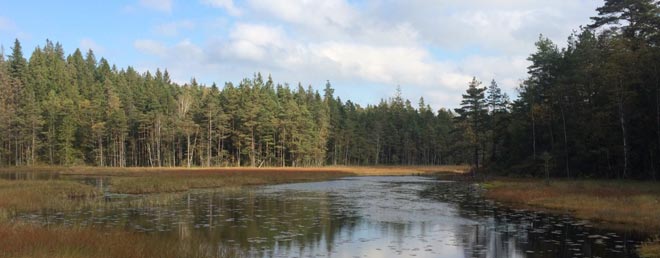 Seen, Sumpf und Wlder ? Herbst in Schweden