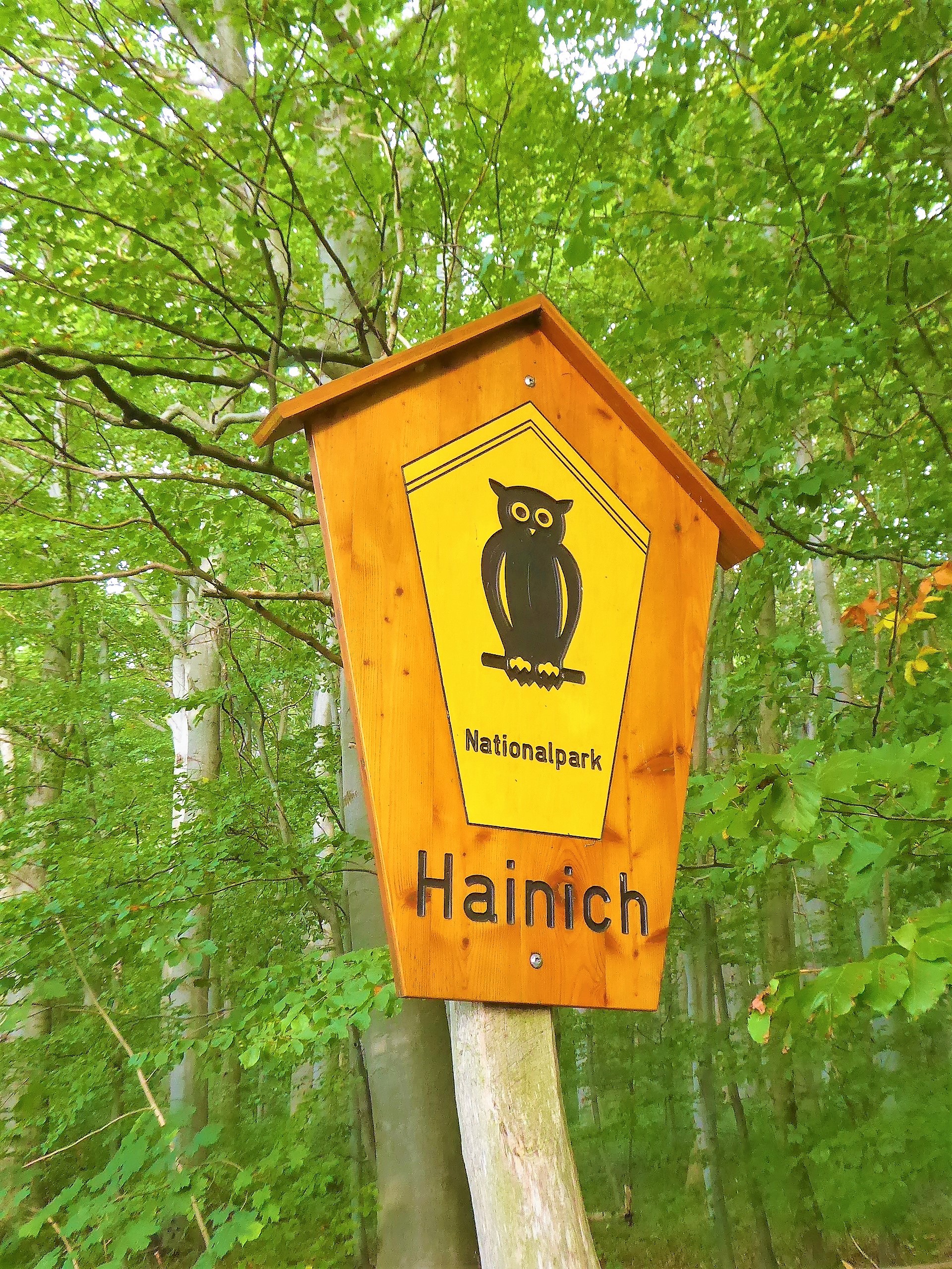 September im Nationalpark Hainich in Thring