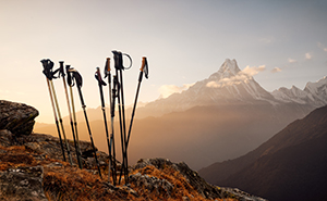 Trekking-Stöcke