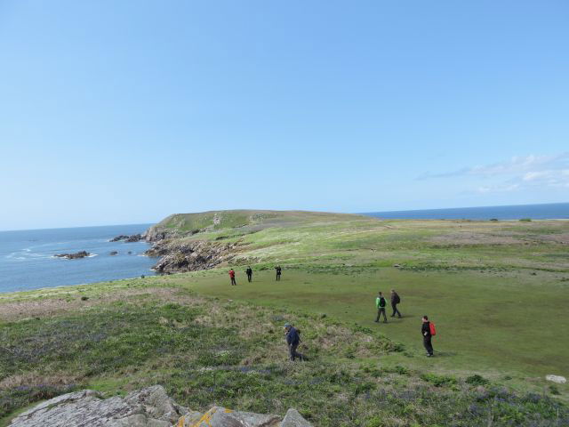 Saltee Island-Unterwegs-bei-Bach Saltee Island-Unterwegs-bei-Bach
