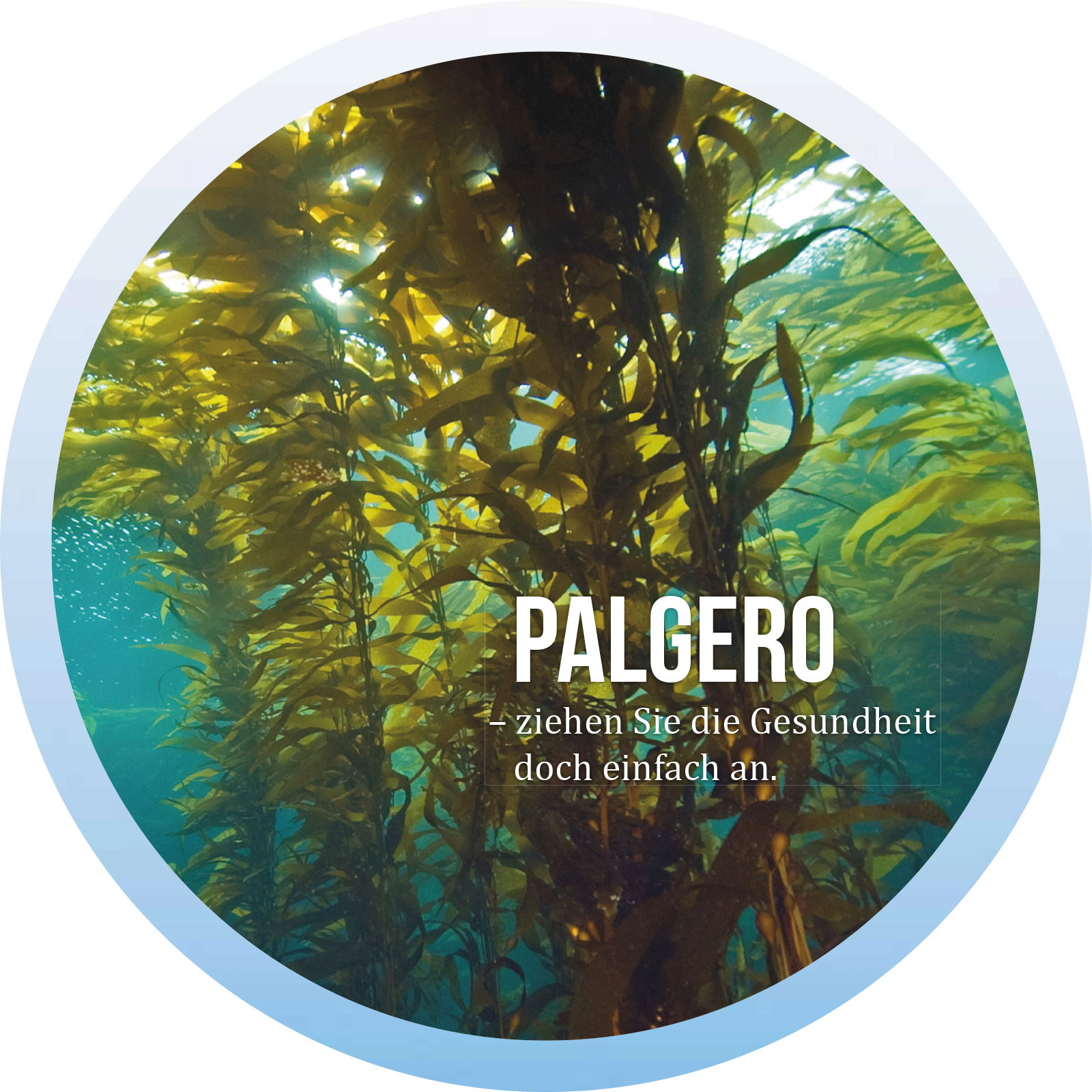 Palgero Funktionsbekleidung mit Algen aus Island Palgero Funktionsbekleidung mit Algen aus Island