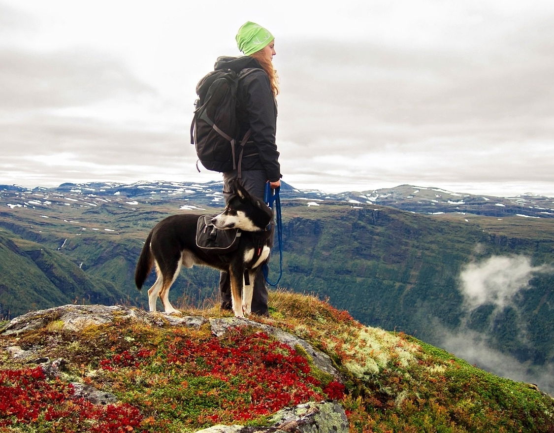 Wandern mit Hund 1b Hund Gipfel b