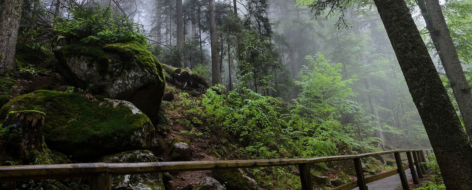 Triberg im Schwarzwald