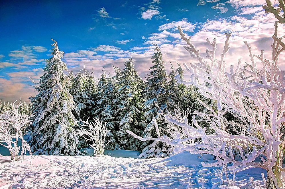 Winter Winter