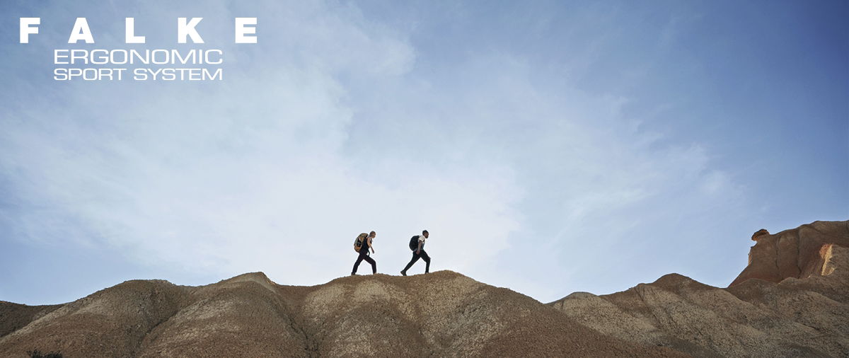 Banner Falke Falke Blog
