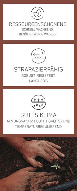 Hanf-Banner