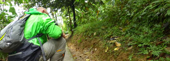 Costa Rica - Canopy Tour Irimbina