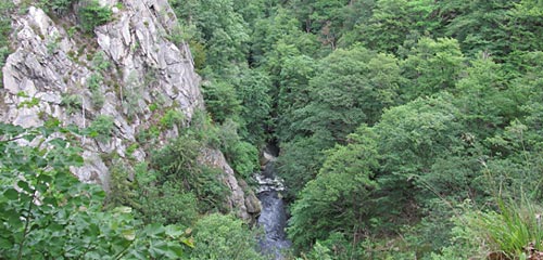 Blick auf die Bode