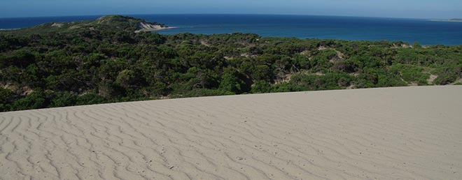 Tasmanien Strand