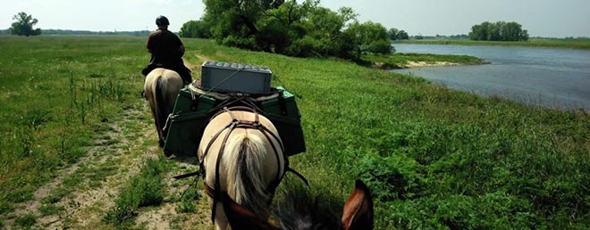 Reiten durch die Natur