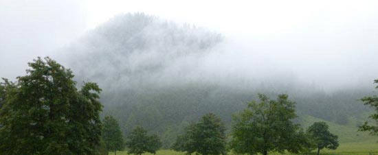 Der große Ahornbogen im Regen