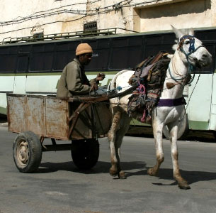 Eselskarren in Fes