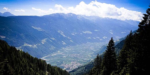 Ausblick von der Hohen Wiege über Meran