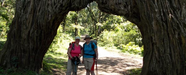 Auf dem Weg zum Miriakamba Hut