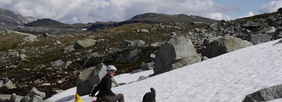 Norwegische Berglandschaft