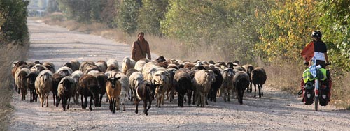 Begegnung mit einem Schafhirten in Rumänien