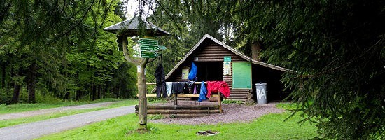 Auf dem Waldweg zur Eisfelder Ausspanne