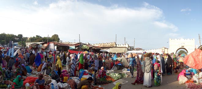 Harar