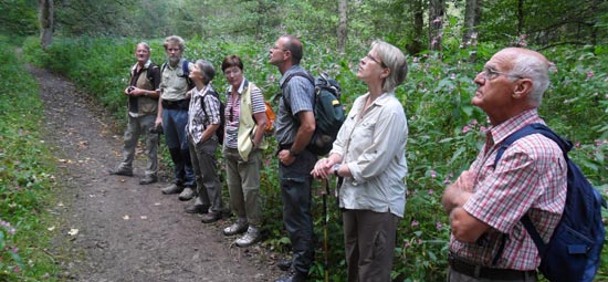 Wandern im Schwarzwald - Staunen inklusive