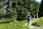 Unterwegs am Medebacher Bergweg