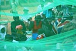 Moskitonetze für Zimbabwe