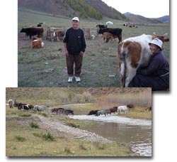 Nomadenleben in der Mongolei
