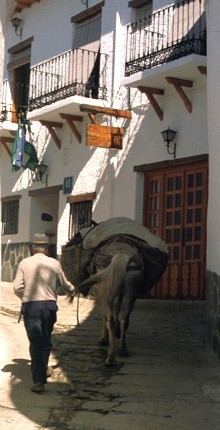 Bauer mit Maultier