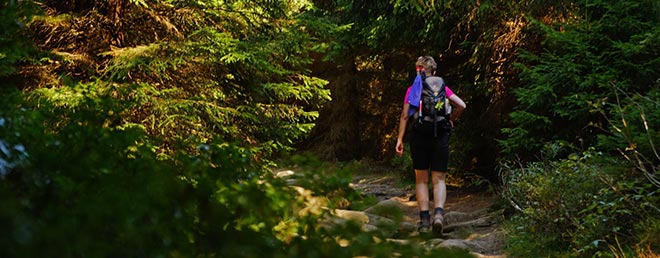 Wandern Harz