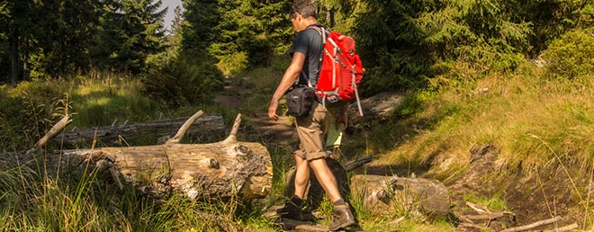 Wandern im Harz