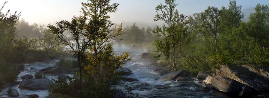 Morgennebel am Ufer des Sees Luvtvrre