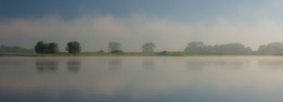 Schner Elbe-Ausblick