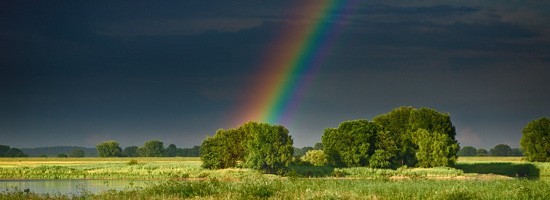 Regenbogen ber der Elbe