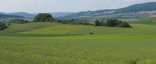 Der Wald lag für heute hinter uns