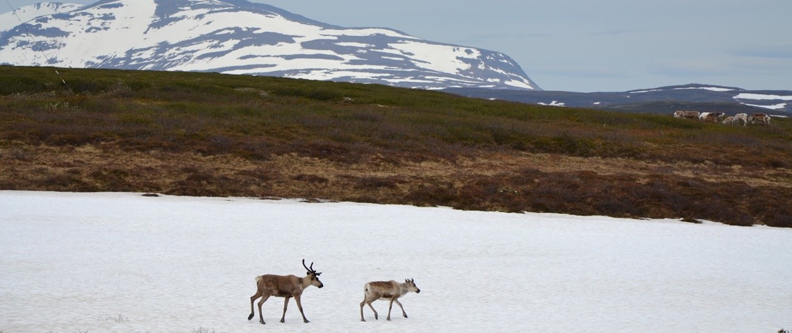Foto des Monats