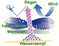 Wie Derzimax aufgebaut ist