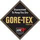 Gore-Tex