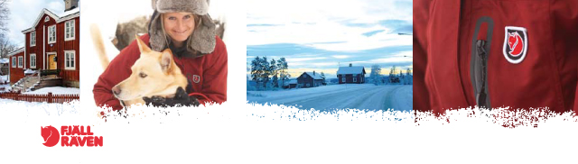 Fjäll Räven