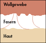 Wollfaser vergrößert
