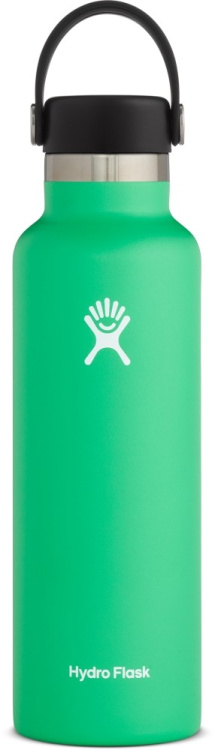 Hydro Flask Standard Mouth Hydro Flask Flex Cap Hydro Flask Standard Mouth Hydro Flask Flex Cap Farbe / color: spearmint ()