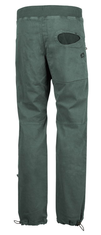 Rückseite / back, agave