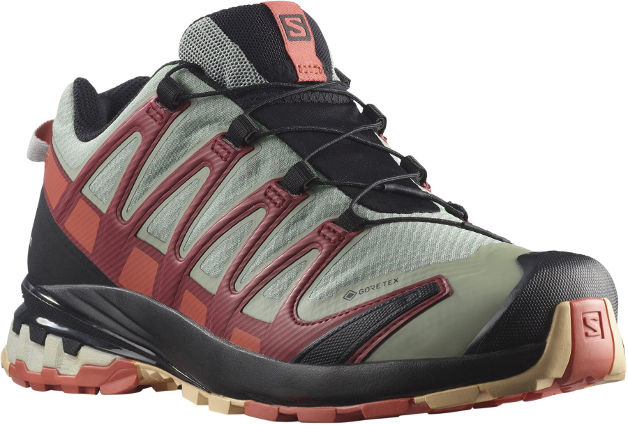 Salomon XA Pro 3D v8 GTX Shoe 