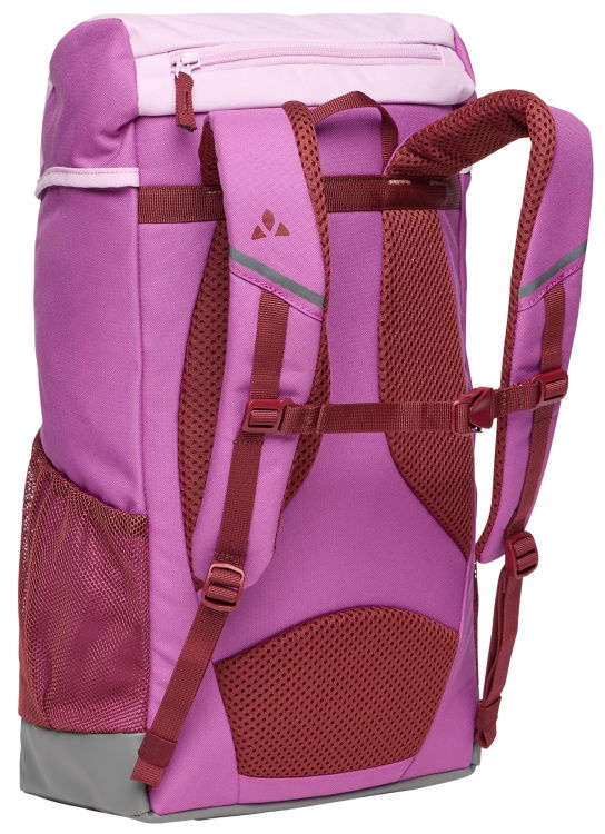 Detailansicht / detail, raspberry 