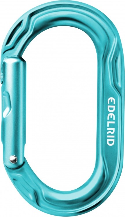 Edelrid Kiwi Karabiner Edelrid Kiwi Karabiner Farbe / color: icemint ()