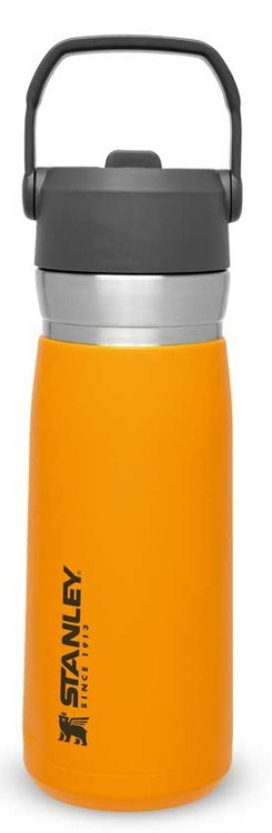 Stanley IceFlow Flip Straw Water Bottle Stanley IceFlow Flip Straw Water Bottle Farbe / color: gelb ()