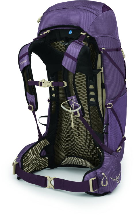 Rückansicht / Back View