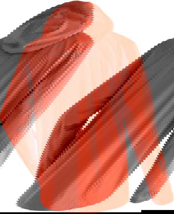 Rückansicht / Back view(pinata)