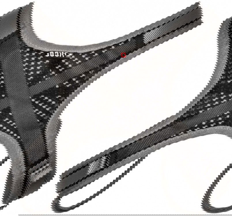 Rückansicht / Back View