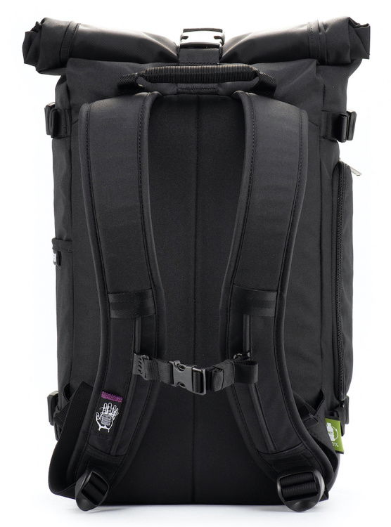 Rückenansicht / back view