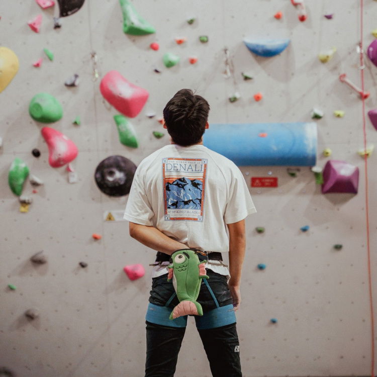 Tragebeispiel / Example